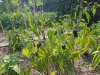 20190618_171521.jpg