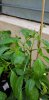 20190706_142633.jpg