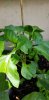 20190706_142624.jpg