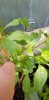 20190706_142652.jpg