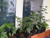20190707_070300.jpg