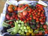 BILD0479.jpg