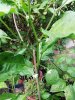 IMG_20190801_192644.jpg