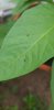20190802_104708.jpg