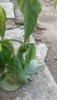 20190804_162224.jpg