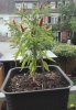 2019-08-10 Nr3.jpg