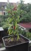 2019-08-10 Nr4.jpg