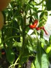 IMG_20190810_132703.jpg