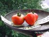 BILD0644.jpg
