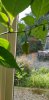 20190822_081031.jpg