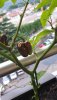 20190822_192144.jpg