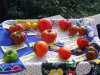 BILD0735.JPG