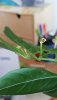 IMG-20190828-WA0004.jpg