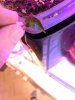 IMG_20190911_175229.jpg