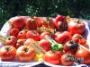 BILD0879.jpg