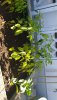 IMG-20190914-WA0007.jpeg