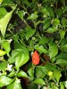 20190920_200608.jpg