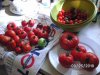 BILD0971.jpg