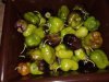 IMG_20191107_123131.jpg