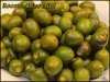 Olive Mini Ernte 09112019.JPG