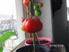 BILD1046.jpg