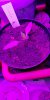IMG-20200118-WA0012.jpeg