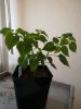 IMG_20200225_095734.jpg