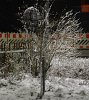 schnee.jpg