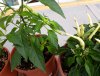 20200429_100445_2.jpg 20200429_100445_2.jpg