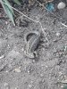 20200517_172213_2.jpg 20200517_172213_2.jpg