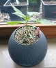 IMG_20200605_182049.jpg