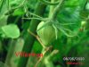 BILD0231.jpg