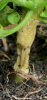 092BDDA1-DE75-4980-8819-6E9667728D00.png