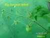 BILD0241.jpg
