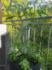 20200621_204606.jpg