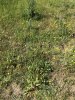 IMG_5287.JPG