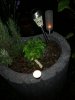 IMG_20200626_221602.jpg
