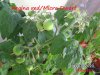 BILD0312.jpg