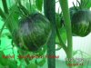 BILD0318.jpg