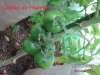 BILD0322.jpg