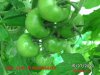 BILD0323.jpg