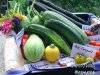BILD0343.jpg