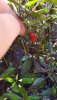 20200727_185722.jpg