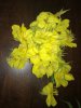 IMG_20200728_210527.jpg