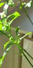 20200729_165025.jpg