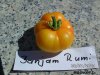 BILD0358.jpg