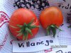 BILD0364.jpg