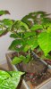 20200804_135426.jpg