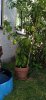 IMG-20200806-WA0009.jpeg