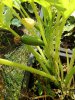 IMG_20200807_103740.jpg